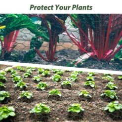 157 Ft. Galvanized Hexagonal Outdoor Anti-Rust Green Chicken Wire, Poultry Netting For Garden, Chicken Coop Wire Fencing -Dewalt Tools Shop amucolo chicken wire cx cyw1 501 fa 1000