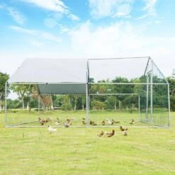 13 Ft. X 13 Ft. Steel Walk-in Chicken Coop Poultry Fencing 15 13 Ft. X 13 Ft. Steel Walk-in Chicken Coop Poultry Fencing -Dewalt Tools Shop angeles home chicken coops m73 8ps78 31 1000