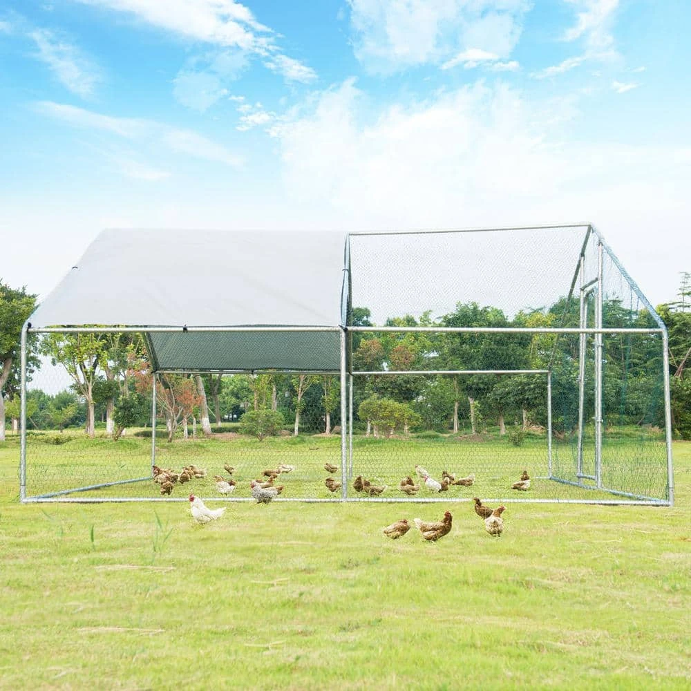 13 Ft. X 13 Ft. Steel Walk-in Chicken Coop Poultry Fencing 9 13 Ft. X 13 Ft. Steel Walk-in Chicken Coop Poultry Fencing - Image 7