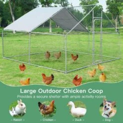 13 Ft. X 13 Ft. Steel Walk-in Chicken Coop Poultry Fencing 11 13 Ft. X 13 Ft. Steel Walk-in Chicken Coop Poultry Fencing -Dewalt Tools Shop angeles home chicken coops m73 8ps78 c3 1000