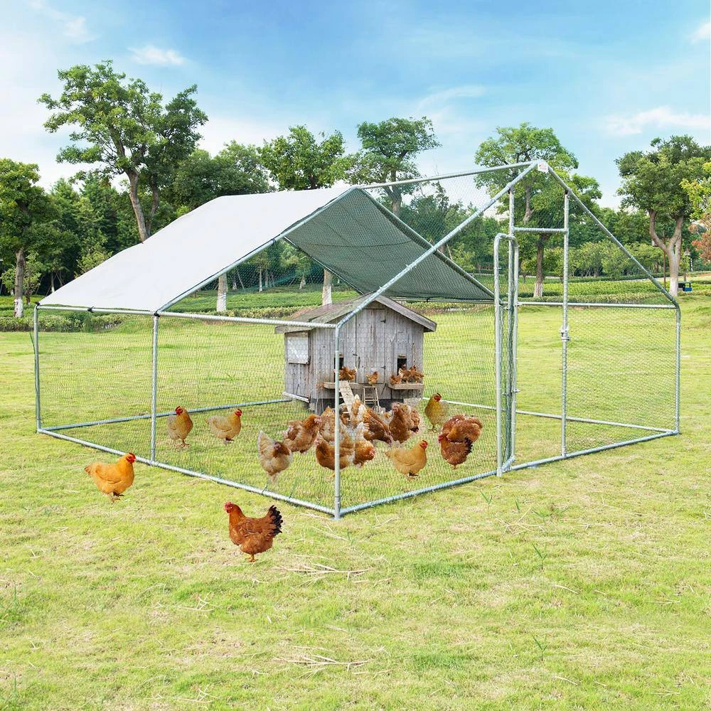 13 Ft. X 13 Ft. Steel Walk-in Chicken Coop Poultry Fencing 4 13 Ft. X 13 Ft. Steel Walk-in Chicken Coop Poultry Fencing - Image 2