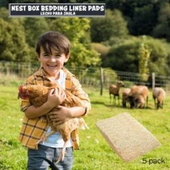 11in. X 10 In. Natural Fiber Chicken Coop Egg Nest Box In-Ground Pack Of 5-Bedding Liner Pads Use In Poultry Fencing -Dewalt Tools Shop animal house chicken accessories 5403700 1f 1000