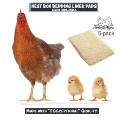 11in. X 10 In. Natural Fiber Chicken Coop Egg Nest Box In-Ground Pack Of 5-Bedding Liner Pads Use In Poultry Fencing -Dewalt Tools Shop animal house chicken accessories 5403700 4f 1000