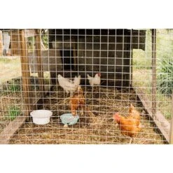 Hardware Cloth 1/4 In. 36 In. X 100 Ft. 23-Gauge, Hot-Dip Galvanized Welded Chicken Coop Wire Garden Plant Fencing 14 Hardware Cloth 1/4 In. 36 In. X 100 Ft. 23-Gauge, Hot-Dip Galvanized Welded Chicken Coop Wire Garden Plant Fencing -Dewalt Tools Shop autmoon patio parts w2286p160455 44 1000