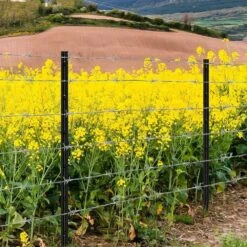 3.4 In. W 48 In. H Metal Fence Post T Post For Wire Fence, No Dig Steel U Post Fencing In Black (15 Pieces) -Dewalt Tools Shop black afoxsos t posts u posts snph020in0184 1f 1000