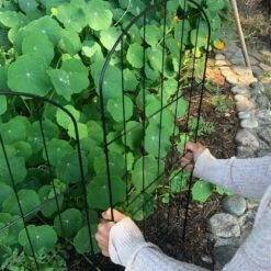 Total 16 Ft. L X 31 In. H Garden Fencing Animal Barrier 15-Piece Decorative Garden Fencing Metal Panels -Dewalt Tools Shop black fawey tred inc garden fencing avcmz94m 31 1000