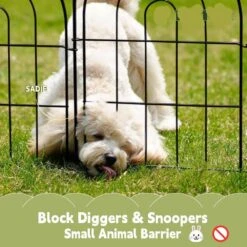 10 Ft (L) X 17 In (H) Metal Decorative Garden Fencing For Animal Barrier, Panels Fences With Hooks, 10 Pack -Dewalt Tools Shop black fawey tred inc garden fencing dang5cw 31 1000