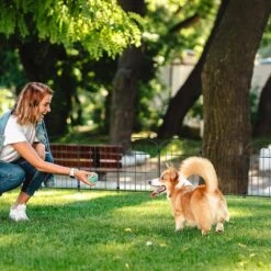 24 In. H X 10 Ft. L Total Coated Metal Rustproof Decorative Garden Fence Panels No Dig Fencing (28-Pack) -Dewalt Tools Shop black garden fencing lt k316 sj 4f 1000