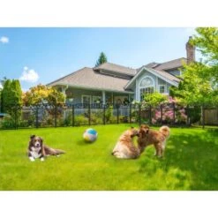 43.3 In. Metal Garden Fence Decorative Fencing Panels With Gate For Outdoor -Dewalt Tools Shop black garden fencing zl843 1f 1000