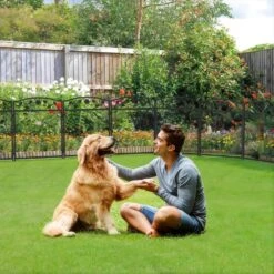 43.3 In. Metal Garden Fence Decorative Fencing Panels With Gate For Outdoor -Dewalt Tools Shop black garden fencing zl843 4f 1000