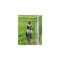 Black Hardware Cloth 1/2 In. 24 In. X 50 Ft. 19-Gauge PVC Coating Wire Mesh Roll Vinyl Coated Welded Garden Wire Fencing -Dewalt Tools Shop black garvee garden fencing pho 0zv87h6o yxy 44 1000