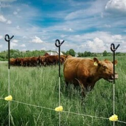 Fence Shock 41 Inches Stainless Steel Step-in Fence Post For Garden And Farm Portable Electric Fencing Black 30 Pack -Dewalt Tools Shop black justincity garden fencing 237ph03328d 44 1000