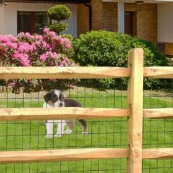 36 In. X 50 Ft. Coating Metal Wire Mesh For Garden Border Fencing & Vegetable Plant Protection Poultry Netting Black -Dewalt Tools Shop black justincity outdoor privacy screens 1 28dph005164 4f 1000