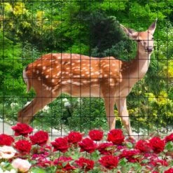 36 In. X 50 Ft. Black 2 Coating Metal Wire Mesh 2 Inch X 4 Inch 15GA For Garden Border Fencing -Dewalt Tools Shop black justincity outdoor privacy screens 1 28dph005165 4f 1000