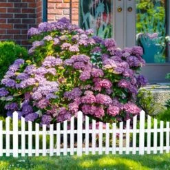 22.6 In. X 13.2 In. Plastic Fencing, Set Of 12. White -Dewalt Tools Shop black oumilen garden fencing hd 316 wela 76 1000