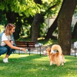 Decorative 35-Pack, 37 Ft. L X 22 In. H, Rustproof Metal Garden Fence No Dig Fencing Border -Dewalt Tools Shop black oumilen garden fencing hd 638 wela 44 1000