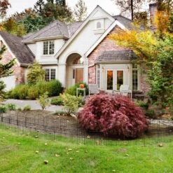 Animal Barrier Fencing 10-Pack, 29 In. H X 10 Ft. L Rustproof Metal Garden Fence No Dig -Dewalt Tools Shop black oumilen garden fencing hd 639 wela fa 1000