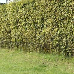 Animal Barrier Fencing 15-Pack, 29 In. H X 20 Ft. L Rustproof Metal Garden Fence No Dig -Dewalt Tools Shop black oumilen garden fencing hd 640 wela 44 1000