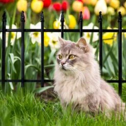 22 In. W X 18 In. H Black Metal Decorative Garden Fence 10-Panels Landscape Fencing For Flower Bed, Yard, Animal Barrier -Dewalt Tools Shop black oyezvary garden fencing 28csa11 4529 31 1000