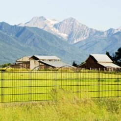 32 In. Metal Decorative Garden Fence No Dig Animal Barrier Rustproof Wire Fencing Panel Border For Patio, 5 Pack -Dewalt Tools Shop black oyezvary garden fencing 28csa11203 44 1000