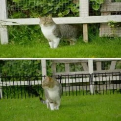 1.26 In. Gap Rustproof Metal Wire Animal Barrier Garden Fence 10 Piece No Dig Decorative Fencing For Rabbits And Dogs -Dewalt Tools Shop black oyezvary garden fencing 28csa11213 76 1000