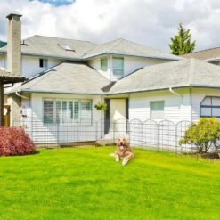 40 Inch Metal Garden Fence No Dig Rustproof Animal Barrier Fencing For Dogs Rabbits Yard Patio 5 Panels 11.6 Ft. -Dewalt Tools Shop black oyezvary garden fencing 28csa11232 66 1000