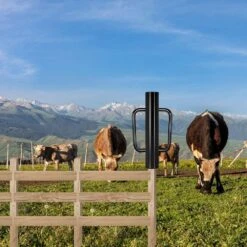 12 Lbs. Black T Posts Driver With Handles, 17 In. Metal Post And Sign Post Pole Driver Tool For Fencing -Dewalt Tools Shop black t posts u posts 0q8i1l7j 31 1000