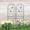 2 Pack 71 In. Iron Garden Trellis Garden Fencing For Climbing Plants, Dragonfly Decorative Plant Trellis, Black