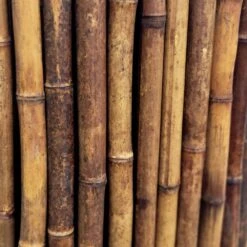 3 Ft. H X 8 Ft. W Caramel Brown Bamboo Fence Decorative Rolled Fencing Panel -Dewalt Tools Shop caramel brown backyard x scapes garden fencing 22 cb3 c3 1000