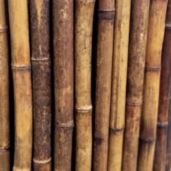 4 Ft. H X 8 Ft. W Caramel Brown Bamboo Fencing Garden Fence Panel -Dewalt Tools Shop caramel brown backyard x scapes garden fencing 22 cb4 4f 1000