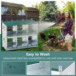 11 In. X 13 In. X 9.65 In. Green 6 Compartment Nesting Box Galvanized Steel Chicken Coops Poultry Fencing 11 11 In. X 13 In. X 9.65 In. Green 6 Compartment Nesting Box Galvanized Steel Chicken Coops Poultry Fencing -Dewalt Tools Shop cenadinz chicken coops ysgcw142211 1f 1000