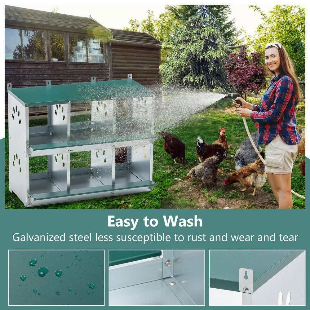11 In. X 13 In. X 9.65 In. Green 6 Compartment Nesting Box Galvanized Steel Chicken Coops Poultry Fencing 6 11 In. X 13 In. X 9.65 In. Green 6 Compartment Nesting Box Galvanized Steel Chicken Coops Poultry Fencing - Image 4