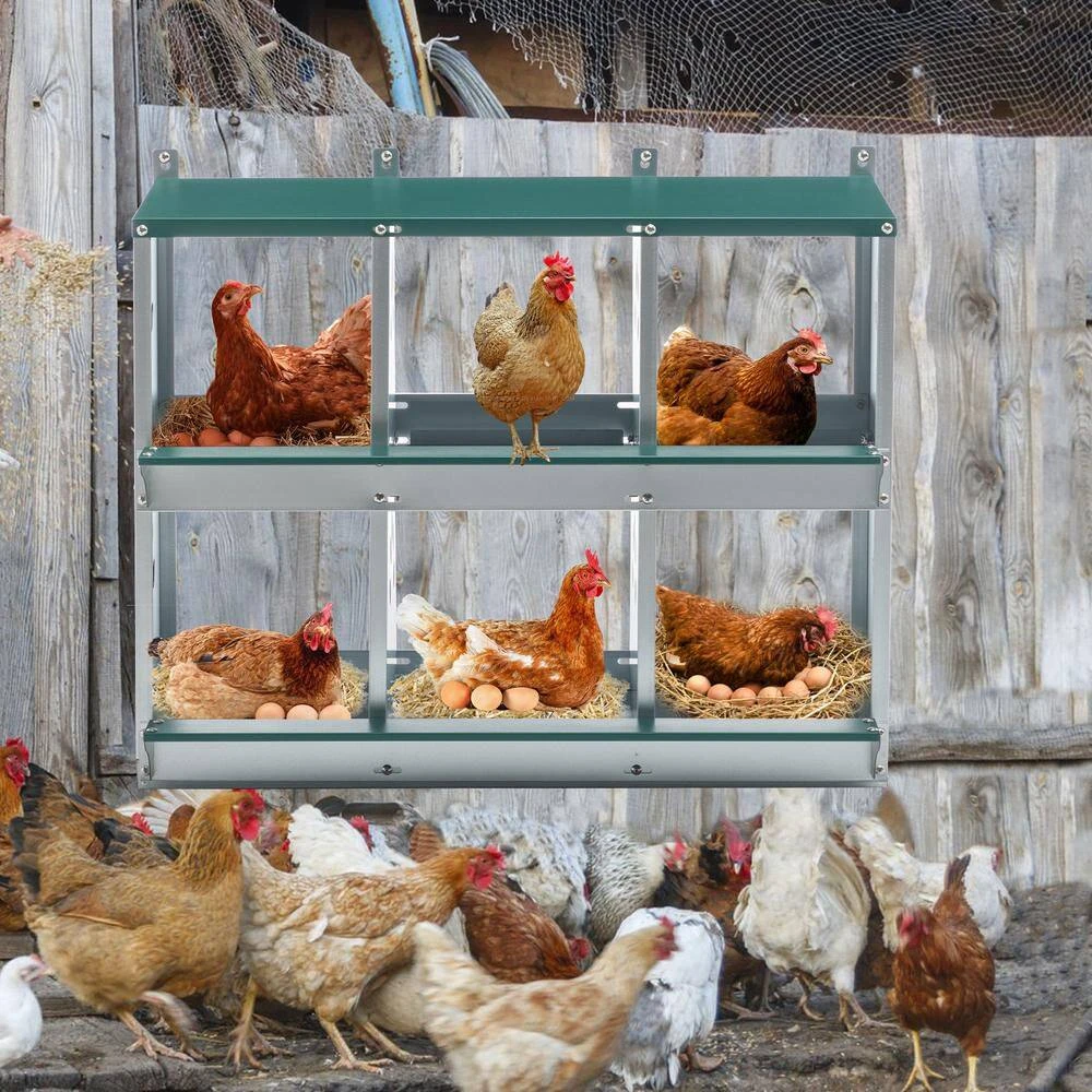 11 In. X 13 In. X 9.65 In. Green 6 Compartment Nesting Box Galvanized Steel Chicken Coops Poultry Fencing 8 11 In. X 13 In. X 9.65 In. Green 6 Compartment Nesting Box Galvanized Steel Chicken Coops Poultry Fencing - Image 6
