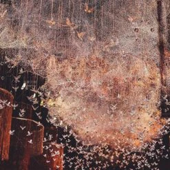 Galvanized Hexagonal Fencing Wire Mesh Poultry Netting For Plant Protection, DIY Craft And Home Decors, 36 In. X 12 Ft. -Dewalt Tools Shop chicken accessories pfrf3612 31 1000