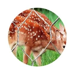 Galvanized Hexagonal Fencing Wire Mesh Poultry Netting For Plant Protection, DIY Craft And Home Decors, 36 In. X 12 Ft. -Dewalt Tools Shop chicken accessories pfrf3612 76 1000