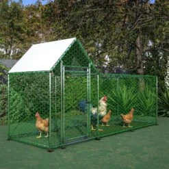 Metal Chicken Coop Run Backyard Hen House Poultry Fencing Habitat Cage Cover -Dewalt Tools Shop chicken coops zx 133465 e1 1000