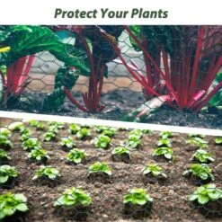 3.6 Ft. W X 157 Ft. L Outdoor Large Anti-Rust Chicken Coop Wire Fencing Galvanized Poultry Netting -Dewalt Tools Shop chicken wire t104501 fa 1000