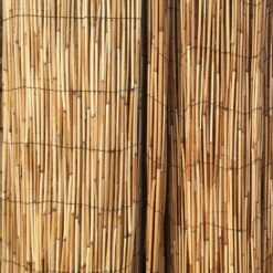 6 Ft. H X 16 Ft. L Bamboo Cocoa Peeled Reed Fence Panel Decorative Screen For Backyard Garden Fencing Divider (2-Pack) -Dewalt Tools Shop cocoa backyard x scapes garden fencing 20 c6 2bx 44 1000