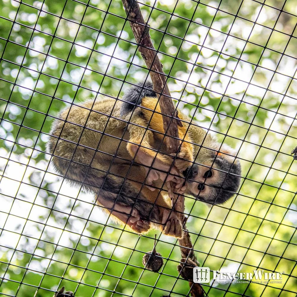 1/2 In. X 2 Ft. X 10 Ft. 19-Gauge Black Vinyl Coated Hardware Cloth, Multiple Use Welded Wire Fencing Roll 8 1/2 In. X 2 Ft. X 10 Ft. 19-Gauge Black Vinyl Coated Hardware Cloth, Multiple Use Welded Wire Fencing Roll - Image 6