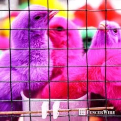 1/2 In. X 3 Ft. X 50 Ft. 19-Gauge Black Vinyl Coated Hardware Cloth, Multiple Use Welded Wire Fencing Roll -Dewalt Tools Shop fencer wire hardware cloth fencing cv19 b3x50mf12 4f 1000