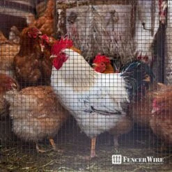 1/4 In. X 3 Ft. X 10 Ft. 23-gauge Black Vinyl Coated Hardware Cloth, Multiple Use Welded Wire Fencing Roll -Dewalt Tools Shop fencer wire hardware cloth fencing cv23 b3x10mf14 66 1000