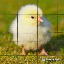 24 In. X 50 Ft. 16-Gauge Black PVC-Coated Rabbit Guard Fence, Poultry Fencing Wire Roll For Garden Yard Vegetable Plant -Dewalt Tools Shop fencer wire welded wire fencing wrv16 b2x50mv 66 1000