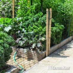 40 In. X 50 Ft. 16-Gauge Black PVC-Coated Rabbit Guard Fence, Poultry Fencing Wire Roll For Garden Yard Vegetable Plant 13 40 In. X 50 Ft. 16-Gauge Black PVC-Coated Rabbit Guard Fence, Poultry Fencing Wire Roll For Garden Yard Vegetable Plant -Dewalt Tools Shop fencer wire welded wire fencing wrv16 b4x50mv 1d 1000