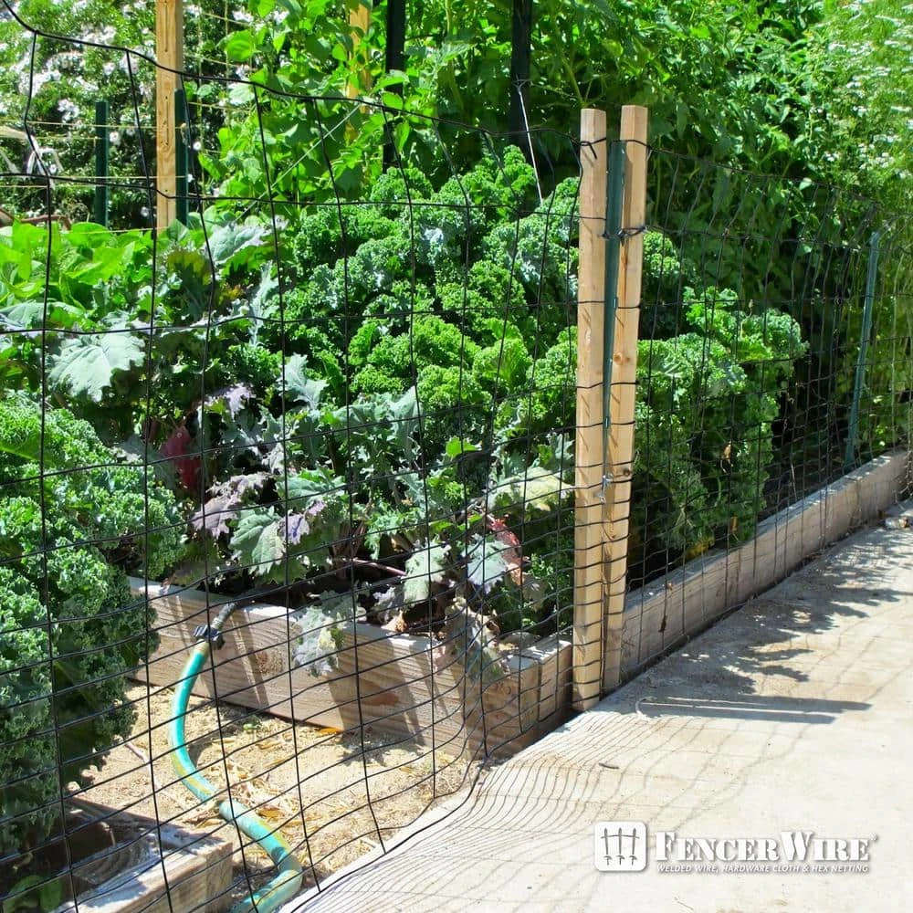 40 In. X 50 Ft. 16-Gauge Black PVC-Coated Rabbit Guard Fence, Poultry Fencing Wire Roll For Garden Yard Vegetable Plant 6 40 In. X 50 Ft. 16-Gauge Black PVC-Coated Rabbit Guard Fence, Poultry Fencing Wire Roll For Garden Yard Vegetable Plant - Image 4