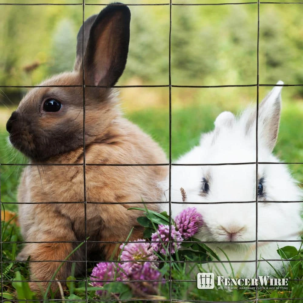 40 In. X 50 Ft. 16-Gauge Black PVC-Coated Rabbit Guard Fence, Poultry Fencing Wire Roll For Garden Yard Vegetable Plant 9 40 In. X 50 Ft. 16-Gauge Black PVC-Coated Rabbit Guard Fence, Poultry Fencing Wire Roll For Garden Yard Vegetable Plant - Image 7