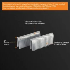 9-Gauge 2 In. Glue Collated Fencing Staples (1000 Count) -Dewalt Tools Shop freeman pneumatic staples fs9g2 4f 1000