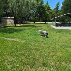 35 In. H X 164 Ft. L Farms Utility Portable Mesh Electric Fence Netting PE Net Fencing W/Posts And Double-Spiked Stakes -Dewalt Tools Shop green atengnes garden fencing yd240256 1d 1000