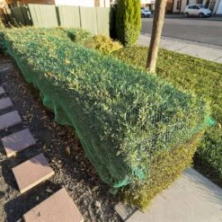 4 Ft. X 100 Ft. Green Plastic Safety Garden Snow Fence Temporary Construction Fencing Animal Barrier Net -Dewalt Tools Shop green atengnes garden fencing yd240550 66 1000