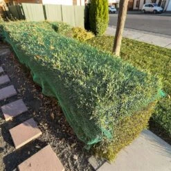 4 Ft. X 65 Ft. Green Plastic Safety Garden Snow Fence Temporary Construction Fencing Animal Barrier Net -Dewalt Tools Shop green atengnes garden fencing yd240551 66 1000