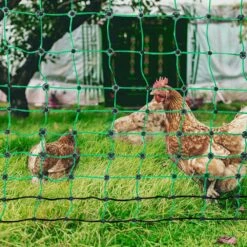 Electric Fence Netting 48 In. H X 168 In. L PE Net Fencing Kit With Double-Spiked Stakes Utility Portable Mesh Polywire -Dewalt Tools Shop green vevor garden fencing xxjqwlw48in1mre8av9 31 1000